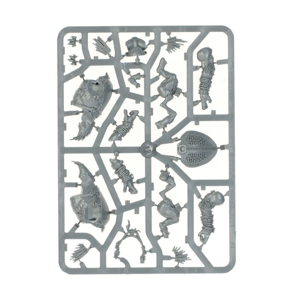 T'au Empire: Krootox Rider