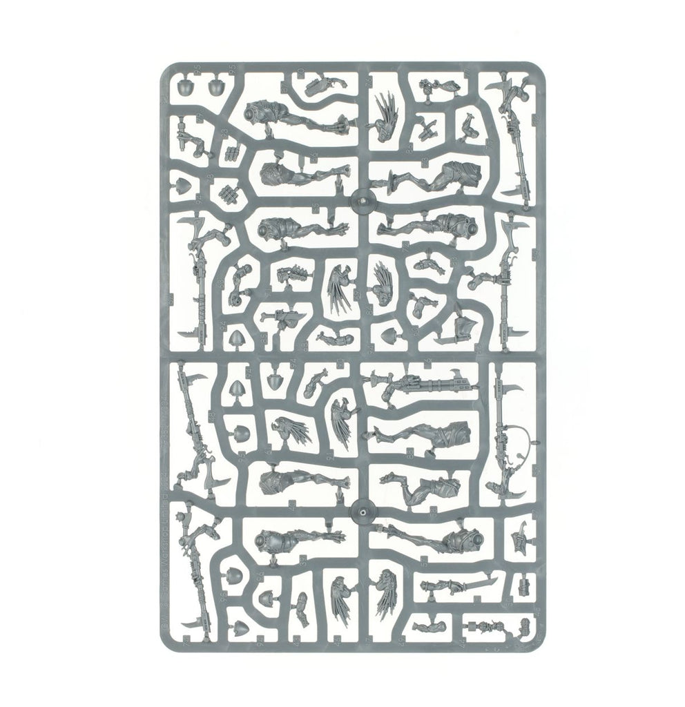 T'au Empire: Kroot Hounds