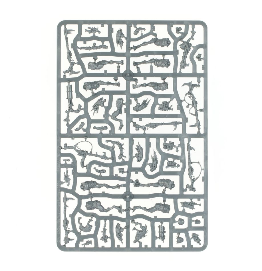 T'au Empire: Kroot Carnivores