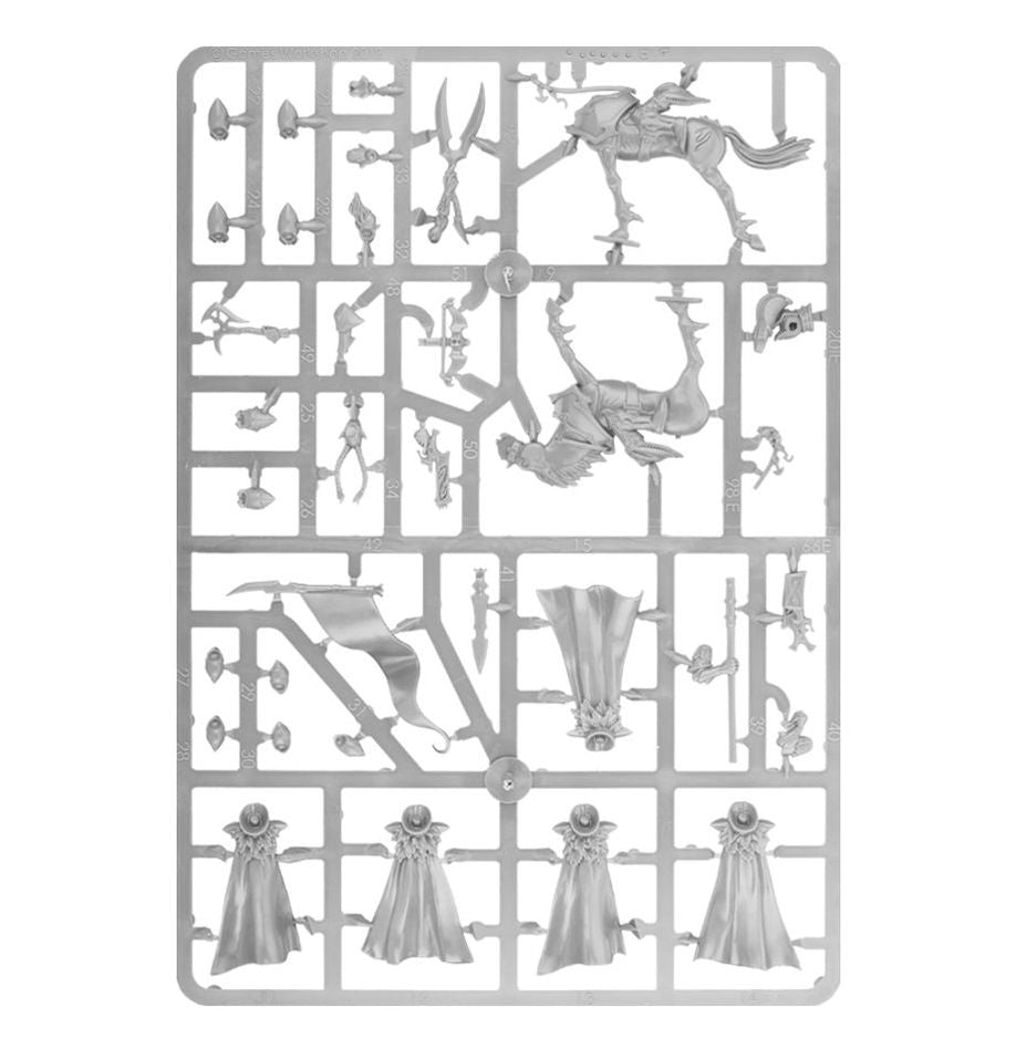 Daughters of Khaine: Doomfire Warlocks / Dark Riders