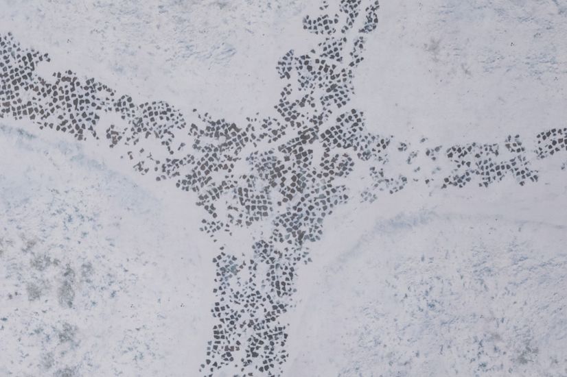 6'x4' G-Mat: Winter Realm