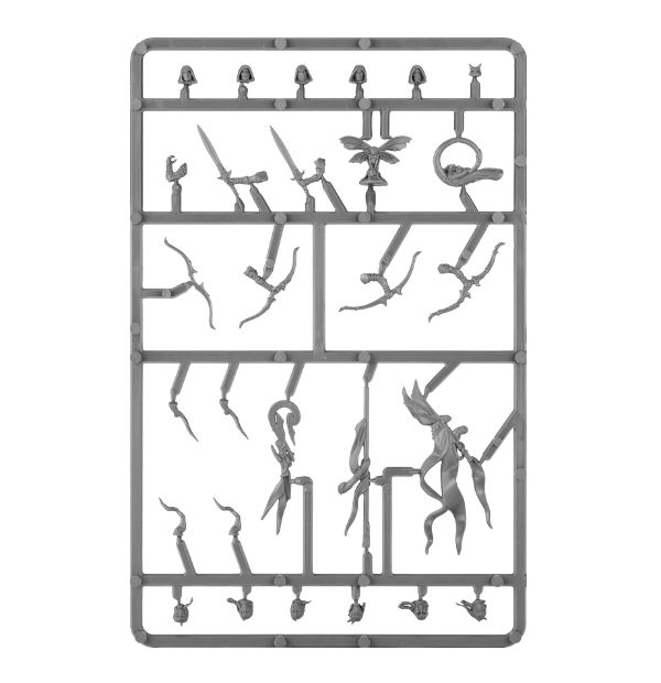 Warhammer Age Of Sigmar Glade Guard