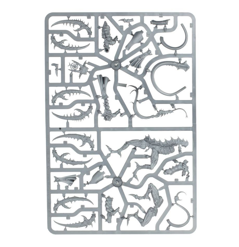 Hedonites of Slaanesh: Fiends