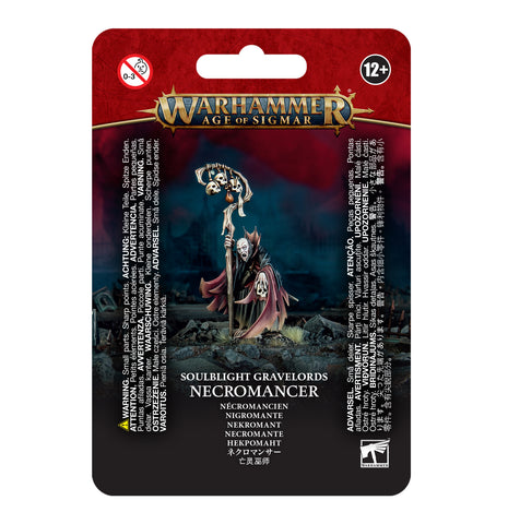 Warhammer Age Of Sigmar Necromancer