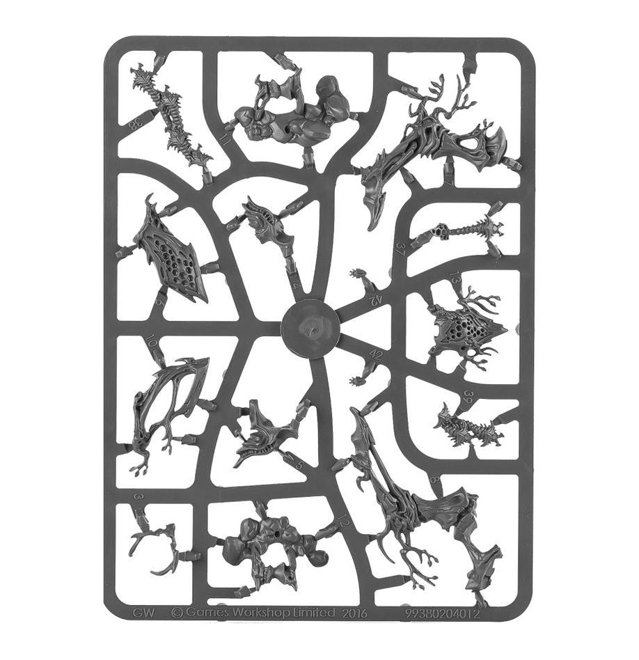 Sylvaneth: Drycha Hamadreth