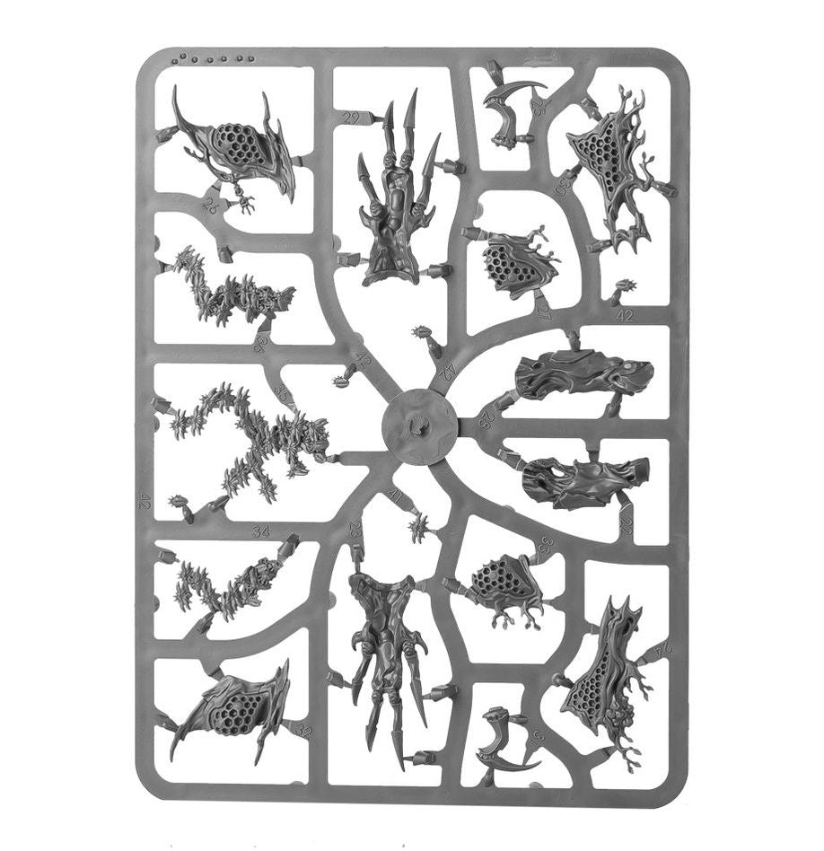 Sylvaneth: Drycha Hamadreth