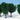 Heki 1010 3 Lichen Birch Trees 12cm (Dark Green)
