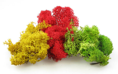 Heki 3232 Monster Lichen Mixed