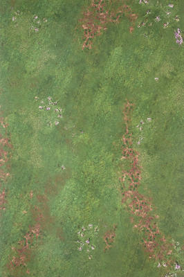 6'x4' G-Mat: Highlands in War