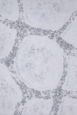 6'x4' G-Mat: Winter Realm