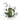 The Army Painter Army Green