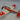 Dumas De Havilland Chipmunk Balsa Kit