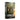 Black Library Catachan Devil (Paperback)