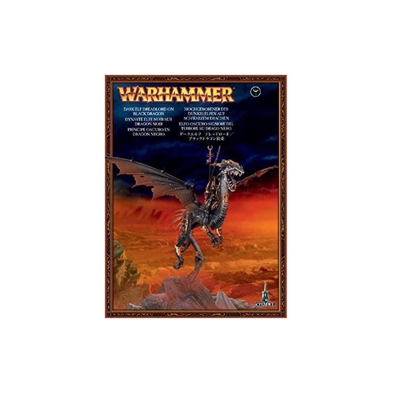 Warhammer Age Of Sigmar Sorceress/Dreadlord  on Black Dragon